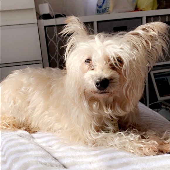 Meet your Posher, Katrina - Picture 1 of 1